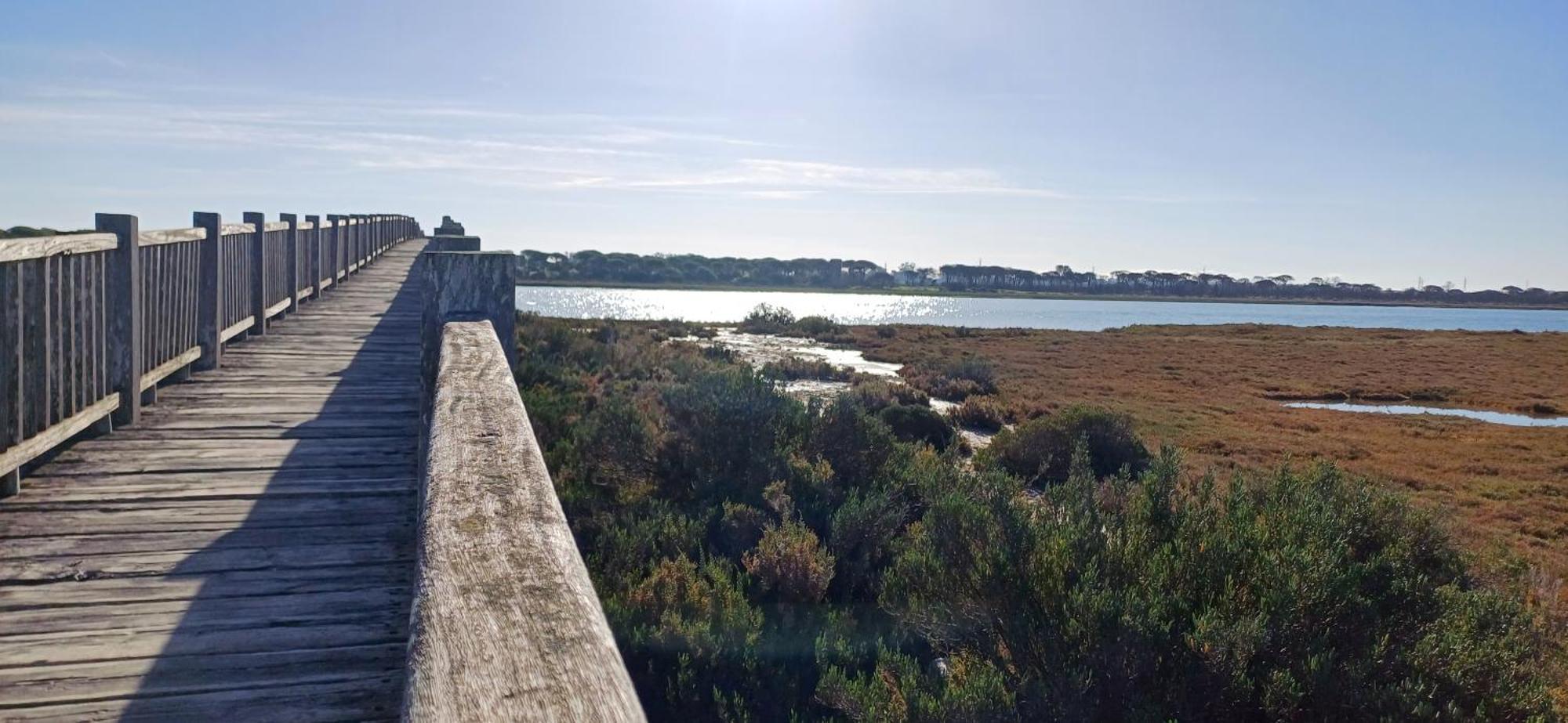 Apartamento Primera Linea De Playa Valdelagrana El Puerto de Santa María Εξωτερικό φωτογραφία